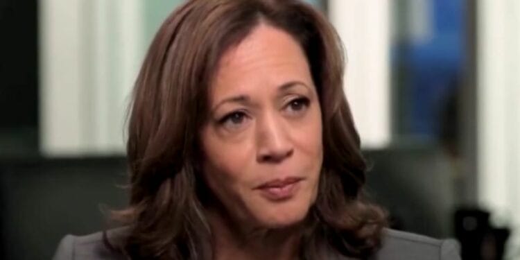 Watch: Kamala Harris Asked Dagger Question About Her Border Failure During Humiliating CNN Moment