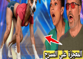 Compilation of the best magic tricks in the 2024 global talent search competition