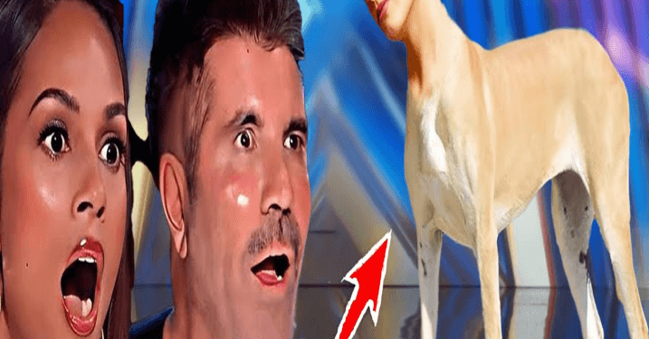 A magician with world-class abilities winning the Golden Buzzer on Britain’s Got Talent 2024