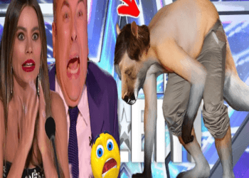 Sacred Riana Magician Fan Made SCARES The Judges with Cutting Magic | American Talent Show 2024