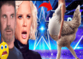 Britain’s Got Talent 2024, Magician Sacred Riana raises the bar with UNBELIEVABLE magic GoldenBuzzer