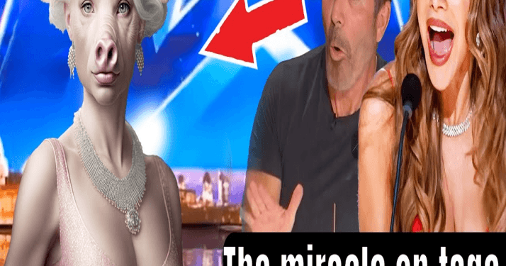 The Magician SURPRISES The Judges with Space Door Magic won Golden Buzzer |America’s Got Talent 2024