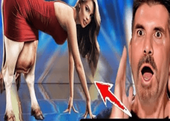 The historic talent making the judges very Shock & won the Britain’s Got Talent 2024