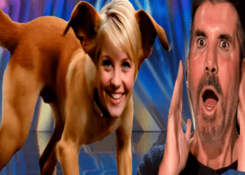 Incredible Magic on AGT2024: World-Class Magician’s Stunning Act! win Golden Buzzer!