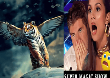 “AGT’s Mesmerizing Transformation: Tiger and Owl Fuse in Unforgettable Act”