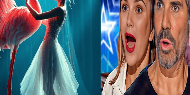 “A Feathered Fantasy: Woman’s Flamingo Fusion Leaves AGT Audience Awestruck”