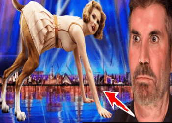 Beautiful Female world-class making the judges very Shock & won the Britain’s Got Talent 2024