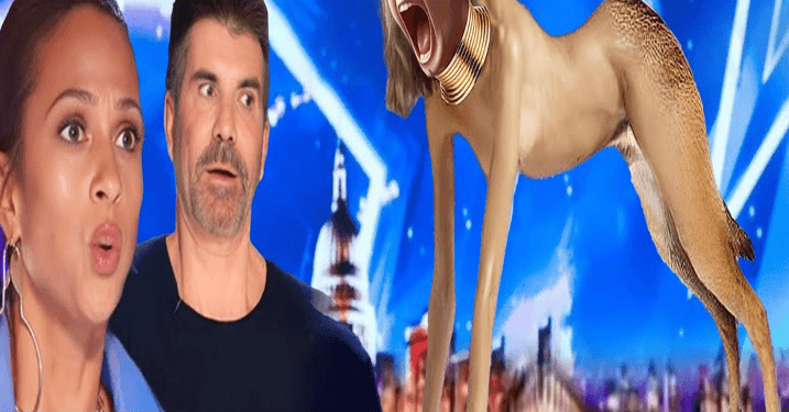 The first excellent magician in the world to win the Golden Buzzer at America’s Got Talent 2024