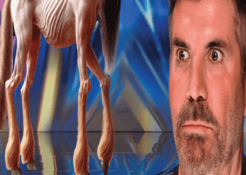 New magic legend shocks world dominates the stage, amazes the audience on America’s Got Talent 2024