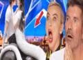 Britain’s Got Talent 2024, Magician crazy talent shocks the judges, winning the Golden Buzzer