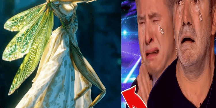 “Bizarre Beauty: Woman and Praying Mantis Fusion on AGT 2024”
