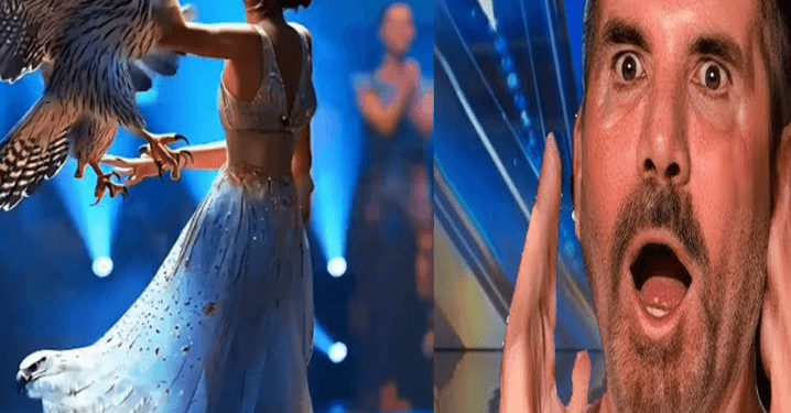 “Wings of Wonder: Woman Performs a Magical Act with Falcon on AGT 2024”