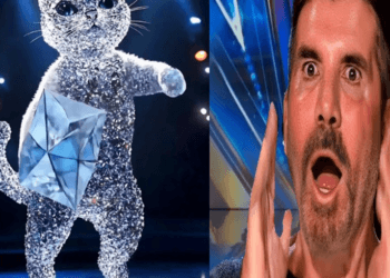 “Paws and Precious Stones: Cat-Diamond Magic Grips AGT 2024”