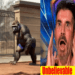 “Becoming the Beast: Man Transforms into Gorilla Live on AGT 2024”