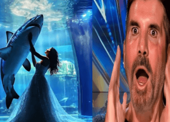 “Fins and Fusion: Woman Becomes One with White Shark on AGT 2024”