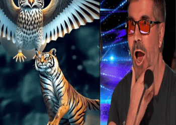 Unbelievable! A Tiger and an Owl Perform Fusion Magic on AGT 2024! 🐯✨🦉