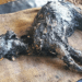 “Frozen in Tar, a Baby Goat’s Desperate Cry for Help—And the Rescue That Saved Her Life”