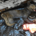 “The Silent Suffering of a Mother Dog: Crying in a Plastic Bin for Two Days with No One to Help”