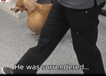 Abandoned with a Giant Tumor—Now He’s Free-1_part2