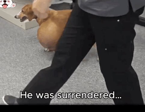 Abandoned with a Giant Tumor—Now He’s Free-1_part2