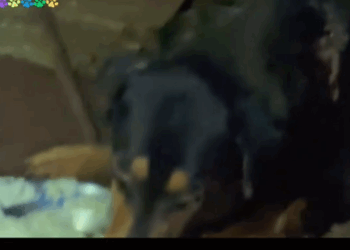 A Year Without Help Even small acts of care can change a life forever_part2