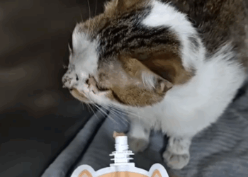 Part2 .Animals Rescue #dogrescue #rescuedog #dogsofttiktok #foryoupage #foryou #dogs