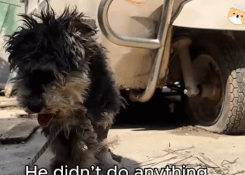 He Suffered for Someone Else’s Mistake_part2