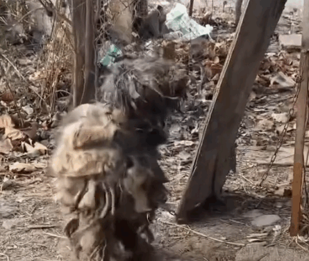 Rescue to radiance watch his unbelievable glow-up_part2