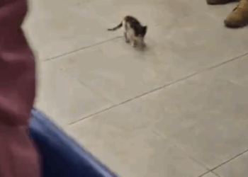 I genuinely believe she was guided to me.😭_part2