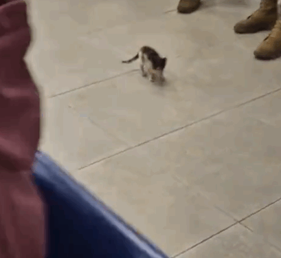 I genuinely believe she was guided to me.😭_part2