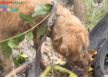 Left Behind – But Still Waiting_part2