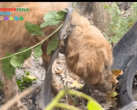 Left Behind – But Still Waiting_part2