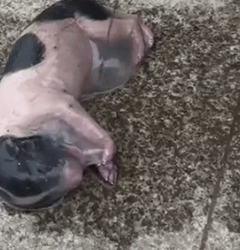 I raised him from the moment he was born._part2