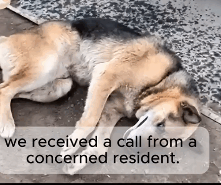 Left on the street… but not forgotten_part2