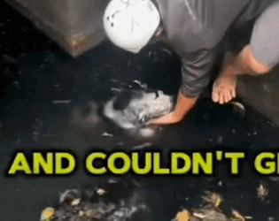 12Rescue of an abandoned dog that fell into a water canal❤️_part1