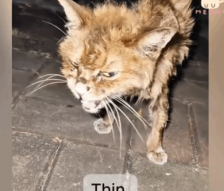 On the edge of life. We found her._part2