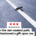 On the rain-soaked path, God bestowed a gift upon me._part2