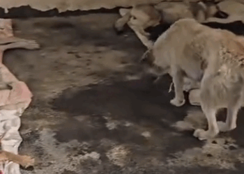 please friends am humbly and kindly requesting on your help. no one has ever come poor in helping let’s come_part2