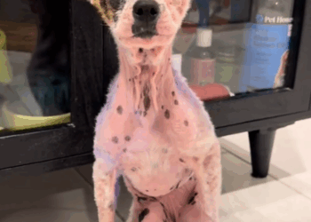 Welcome to the good life, Violet 💜_part2