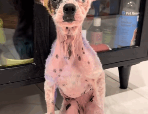 Welcome to the good life, Violet 💜_part2