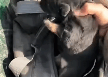 Now my love for it is endless_part2