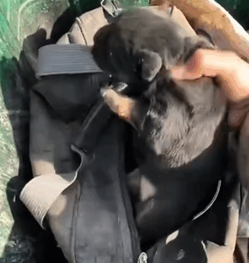 Now my love for it is endless_part2