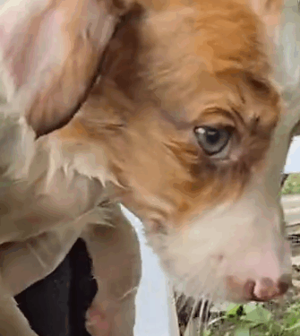 please friends am humbly and kindly requesting on your support please you share with us anything you can_part2