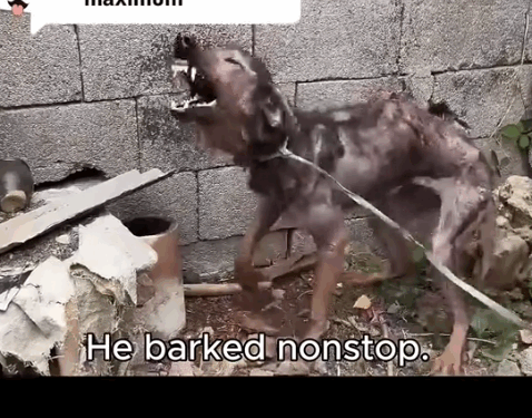 Replying to @Nunyadixiewrecked Abused and Afraid, He_part2