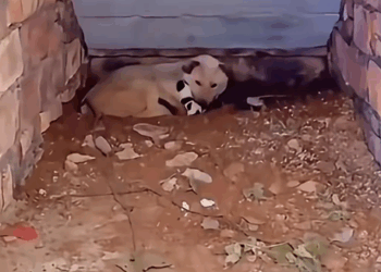 Meet Happiest Mom in the world ❤️_part2