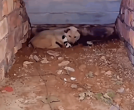 Meet Happiest Mom in the world ❤️_part2