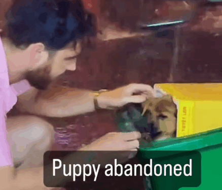 Puppy abandoned in trash can #foryou #animal #dog #puppy #abandoned #rescue #neiperteee #cane_part2