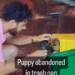 Puppy abandoned in trash can #foryou #animal #dog #puppy #abandoned #rescue #neiperteee #cane_part2