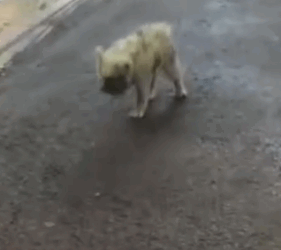 Once a soul gets loved, it starts sprouting meat like wild._part2