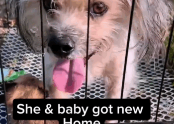 Meet the Happiest Mom in the world_part2